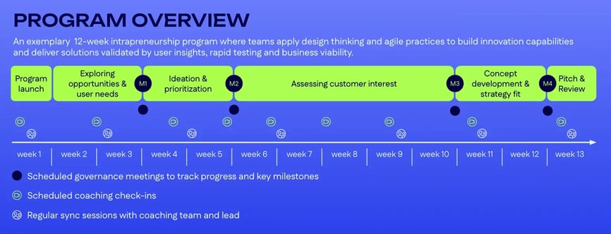 Intrapreneurship - Program overview