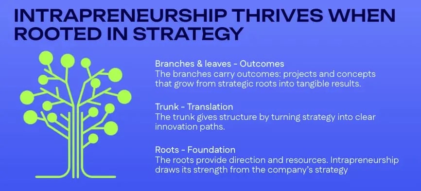 Intrapreneurship - strategy 
