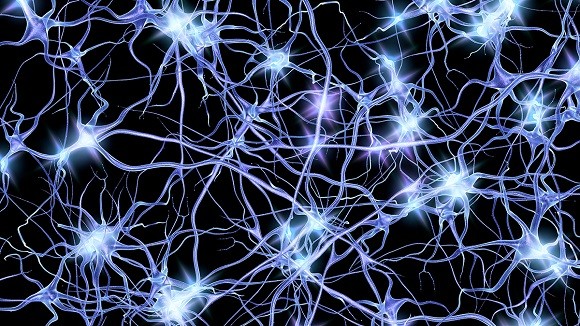 Neuroscience